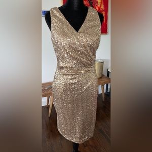 Lauren by Ralph Lauren size 4 stretch dress. Worn once. Smoke free home.